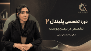 دوره آموزشی پلیندل 2